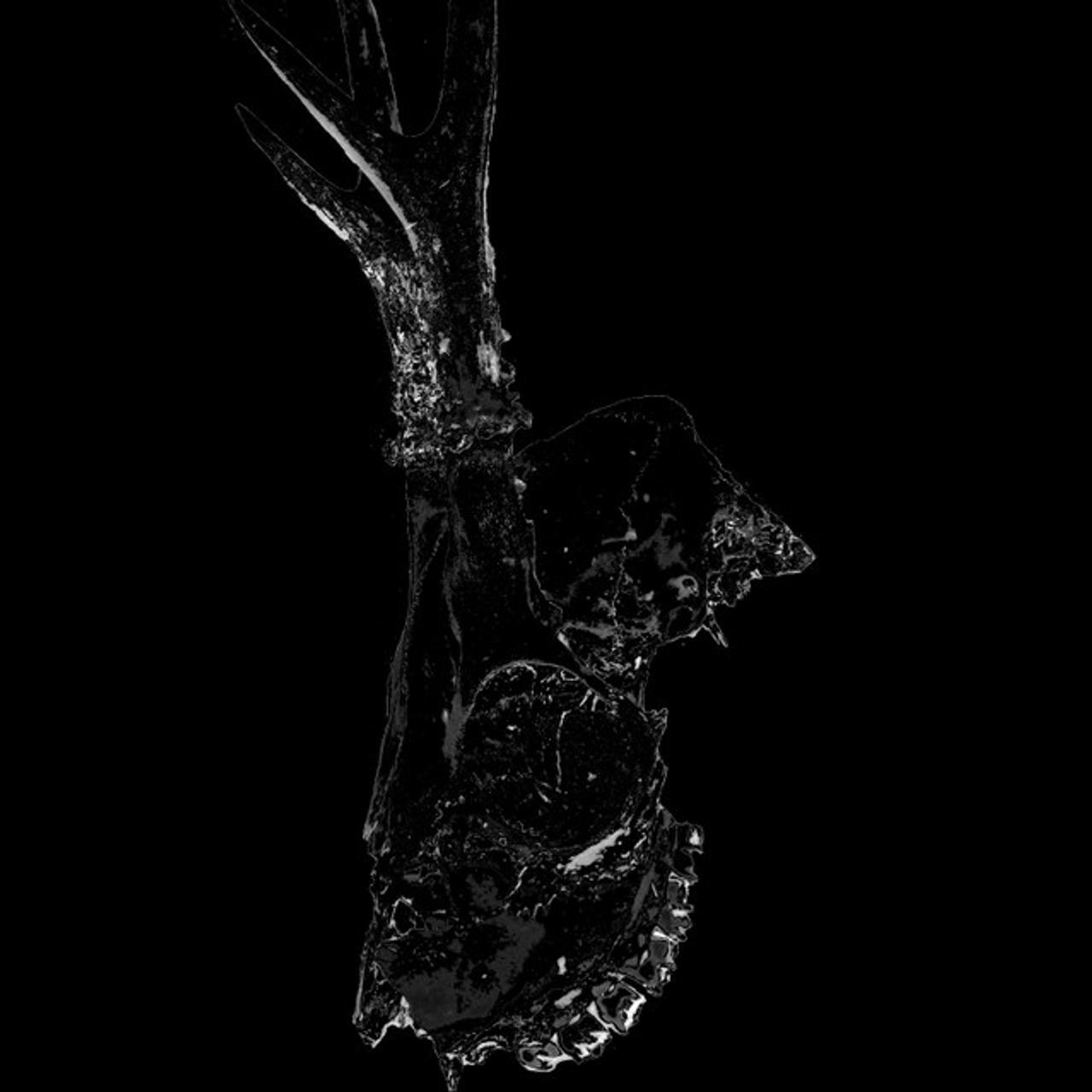 There Is No Phobia In Outer Space, Just Emptiness