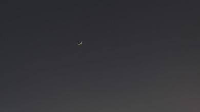 黎家宝