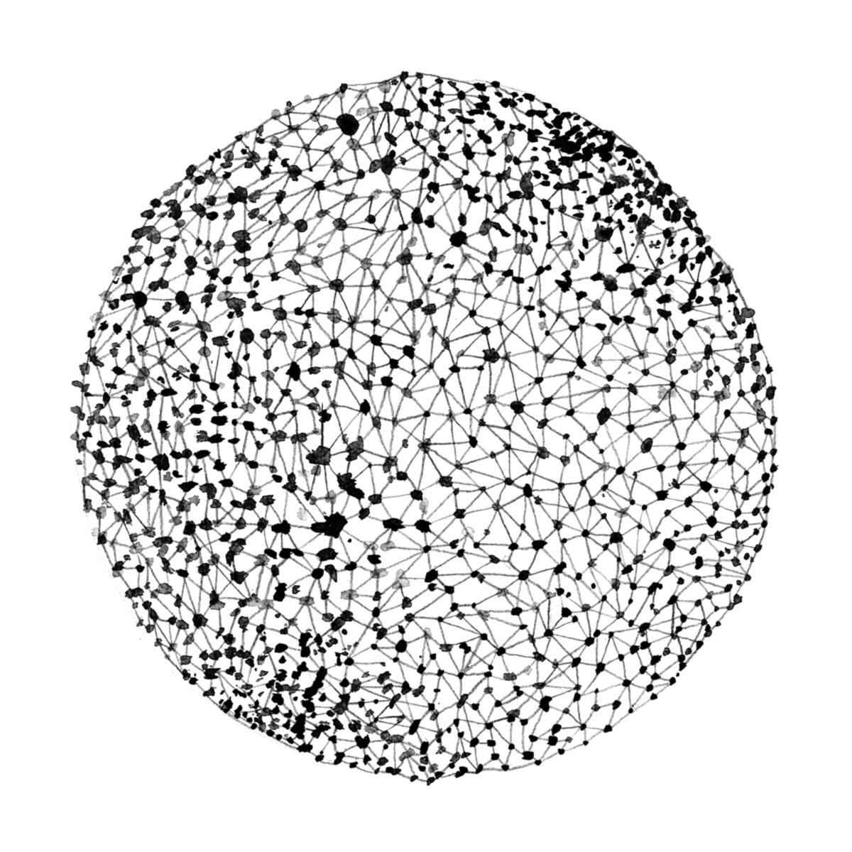 Network of Lines