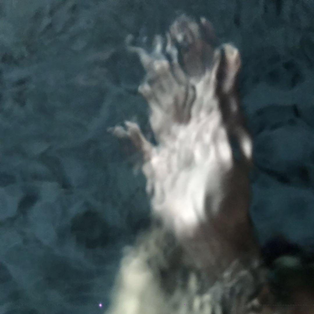 山海经