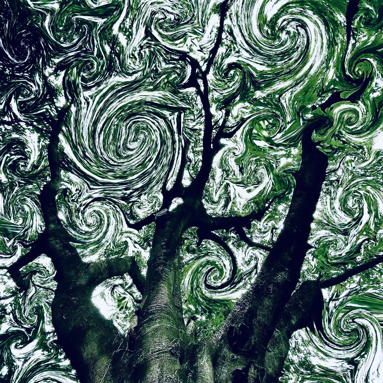 旁枝