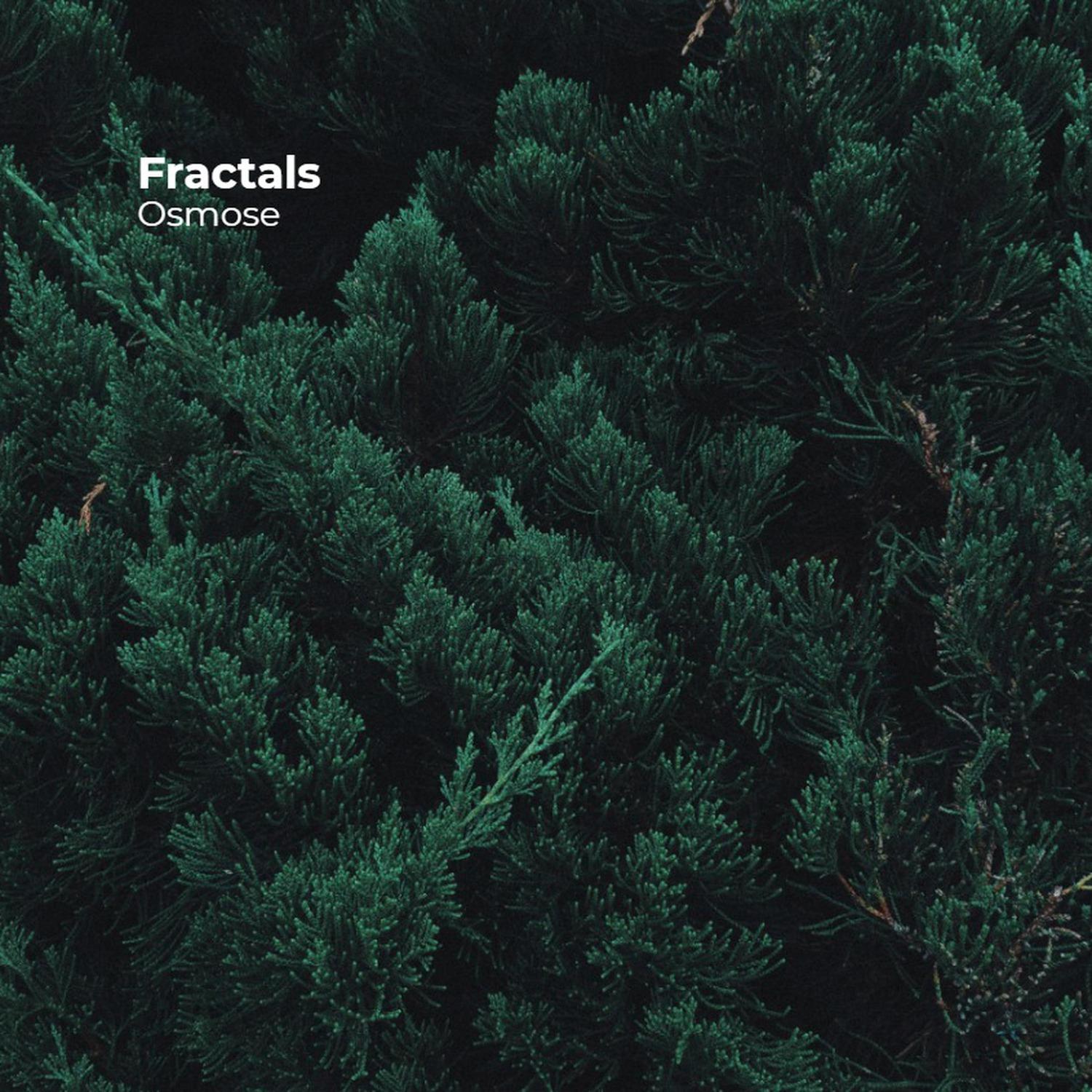 Fractals