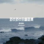 舒克舒克的翻唱集专辑