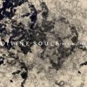 Divine Souls -restructed-专辑