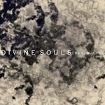 Divine Souls -restructed-专辑