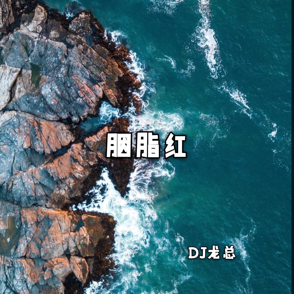 DJ龙总《酒吧硬性风(DJ版)》