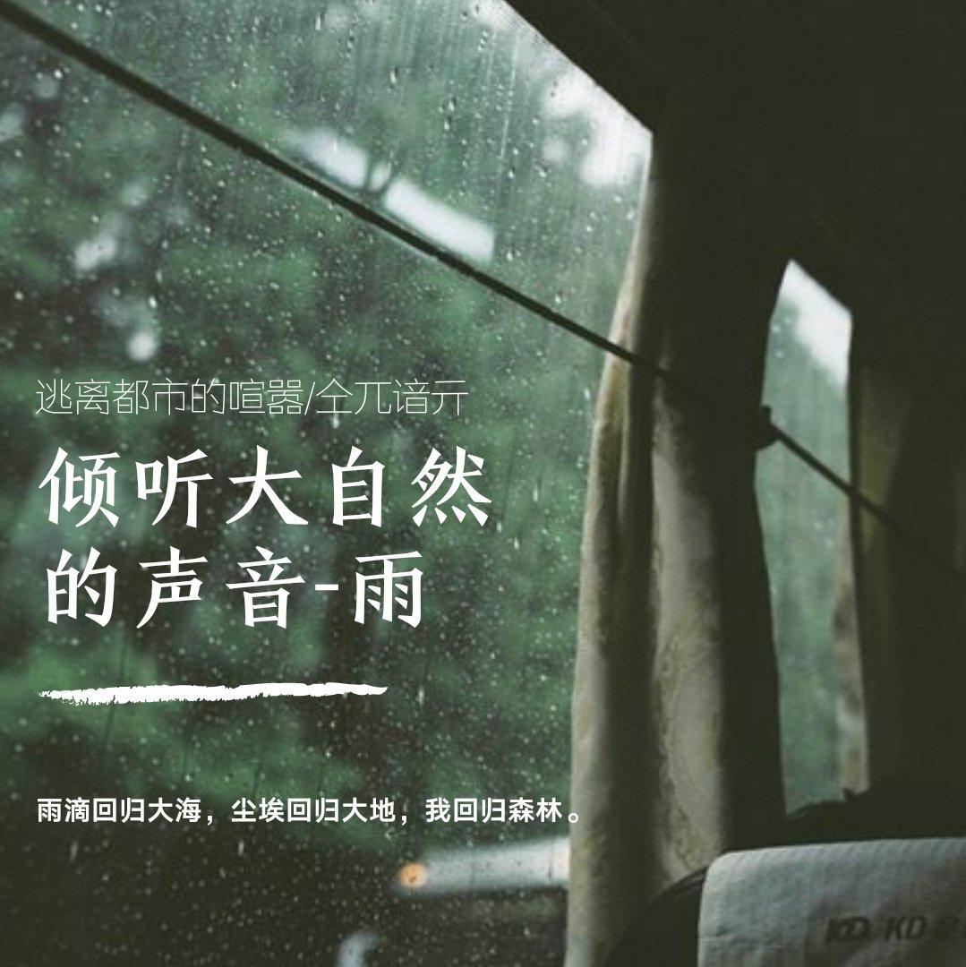 ［自然纪］在音符与淅沥雨声之间 | 在线播放 | 网易云音乐
