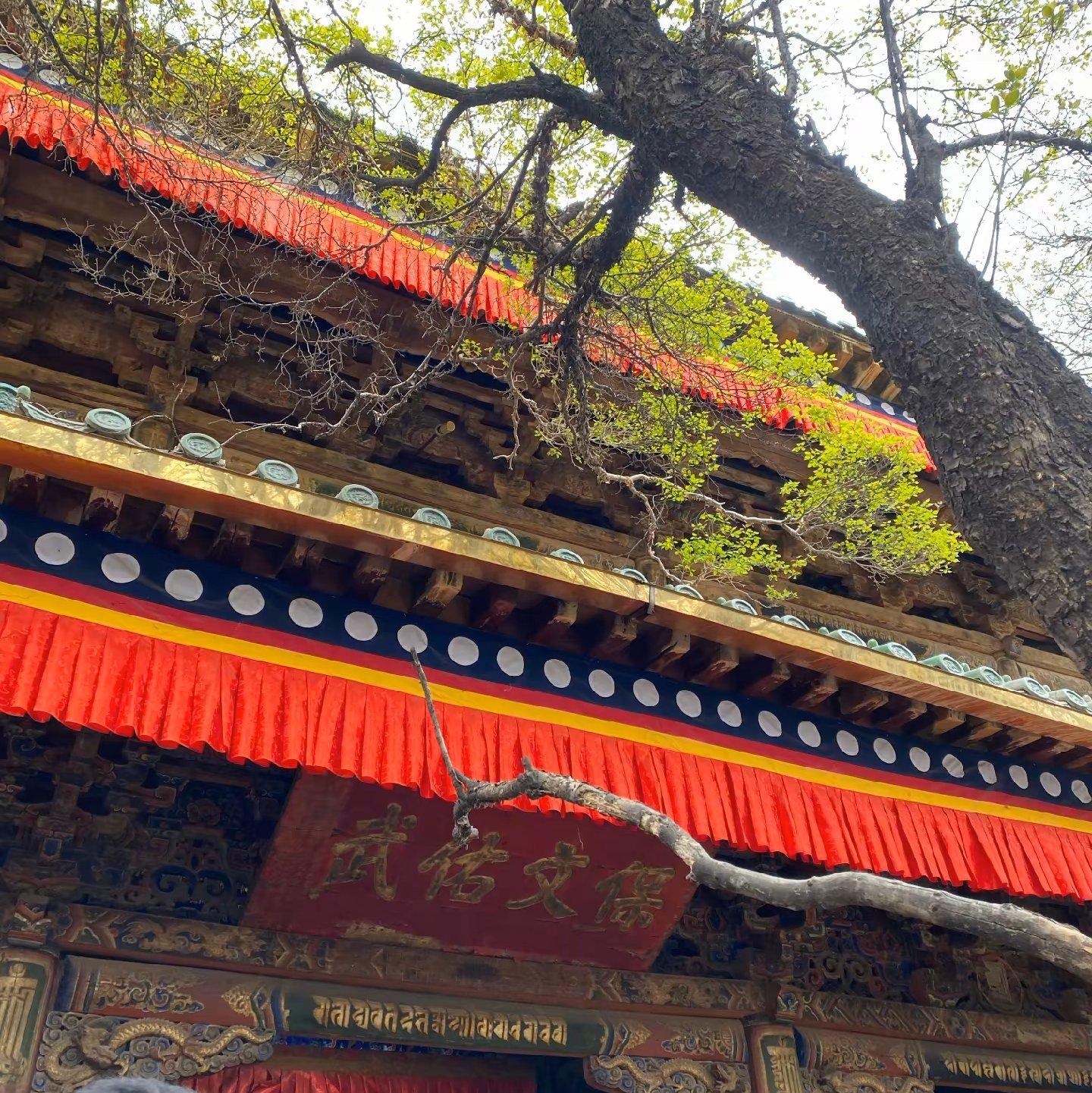 等到香港下雪 我就忘记你.wav