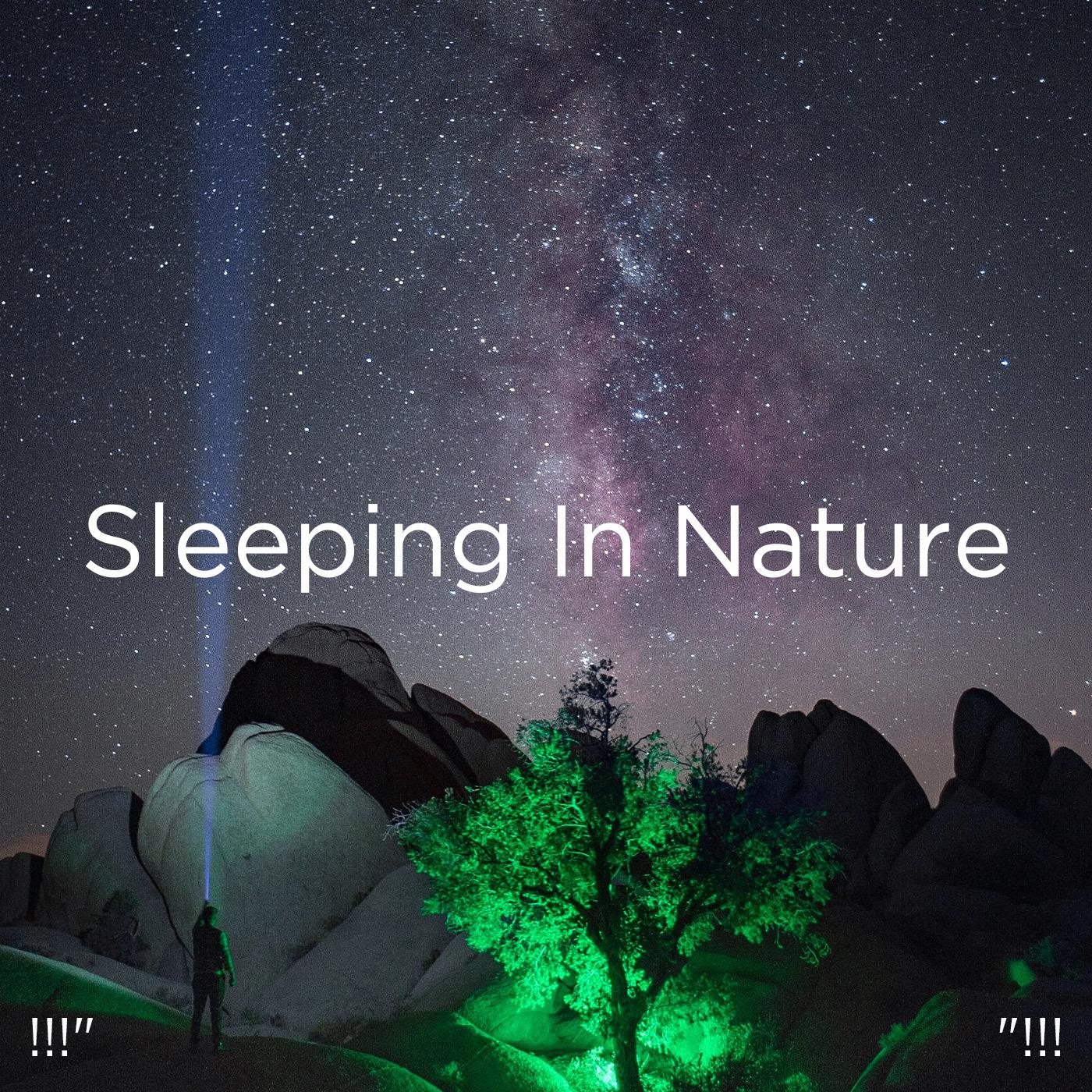 !!!" Sleeping In Nature "!!!