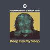 Harold Matthews Jr - Deep Into My Sleep (Black Sonix Extended Instrumental)