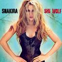 She Wolf专辑