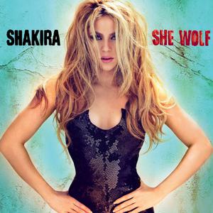 Give It up to Me - Shakira Ft. Lil Wayne & Timbaland (HT Instrumental) 无和声伴奏 （升4半音）