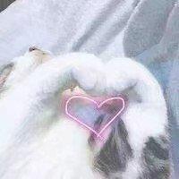 寄半两