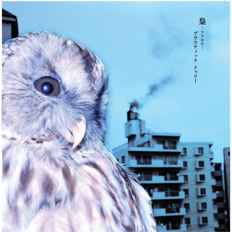 梟－フクロウ－