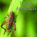 Nature Ambiences, Vol. 1专辑