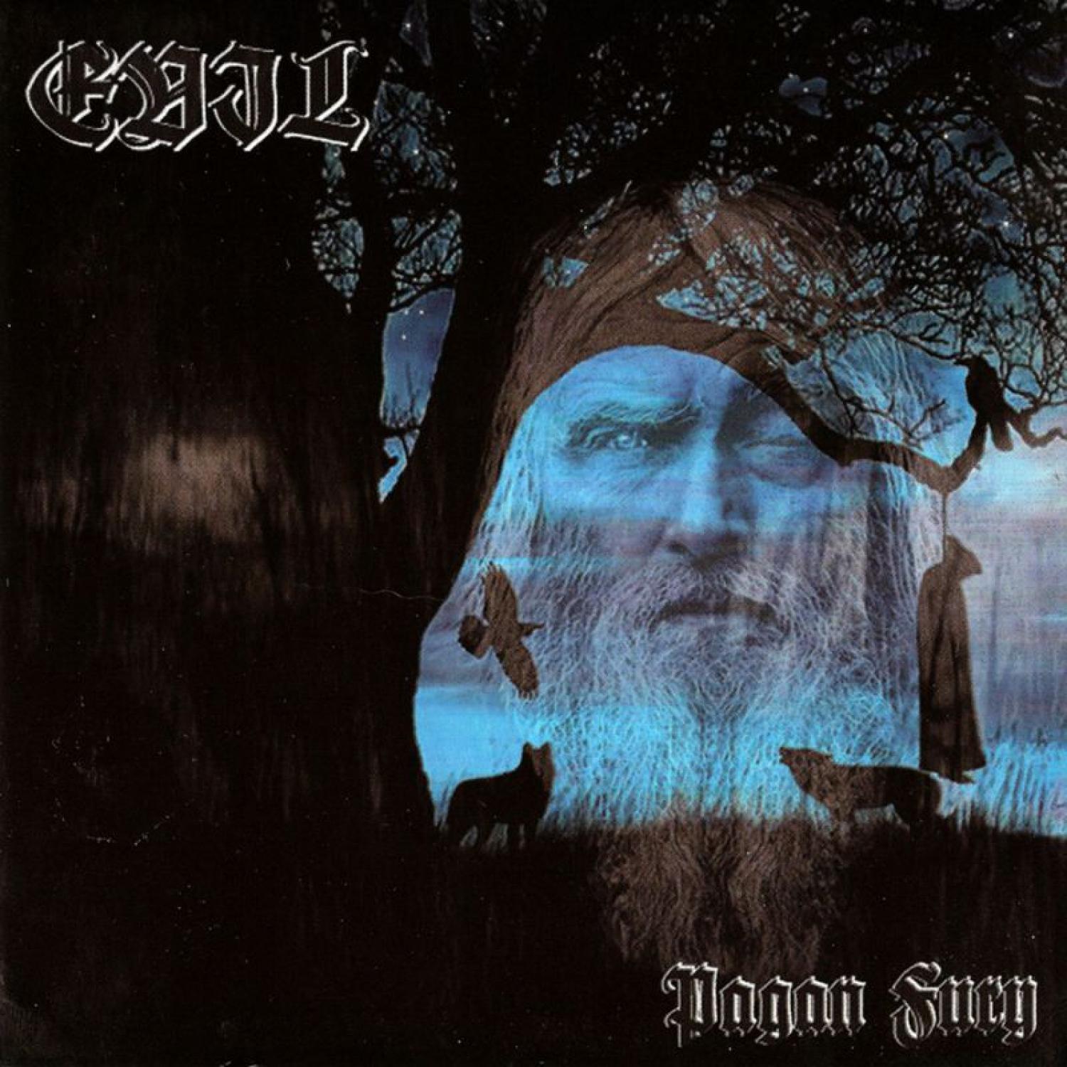 Pagan Fury
