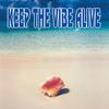 Keep The Vibe Alive - Bahamian Music(I Just Can't Get Enough) (feat. Spice)