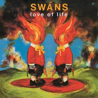 the love of tired swans