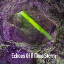 Echoes Of A Mind Storm专辑