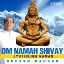 Om Namah Shivay (Jyotirling Naman) - Single专辑