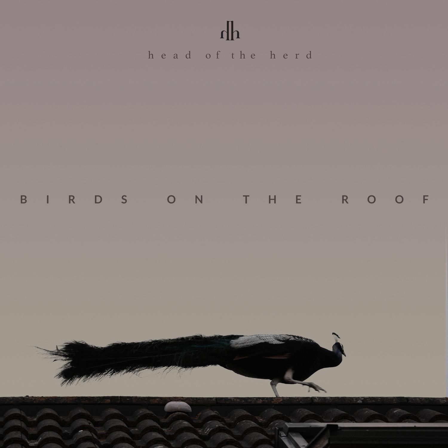 Birds on the Roof (Deluxe Edition)