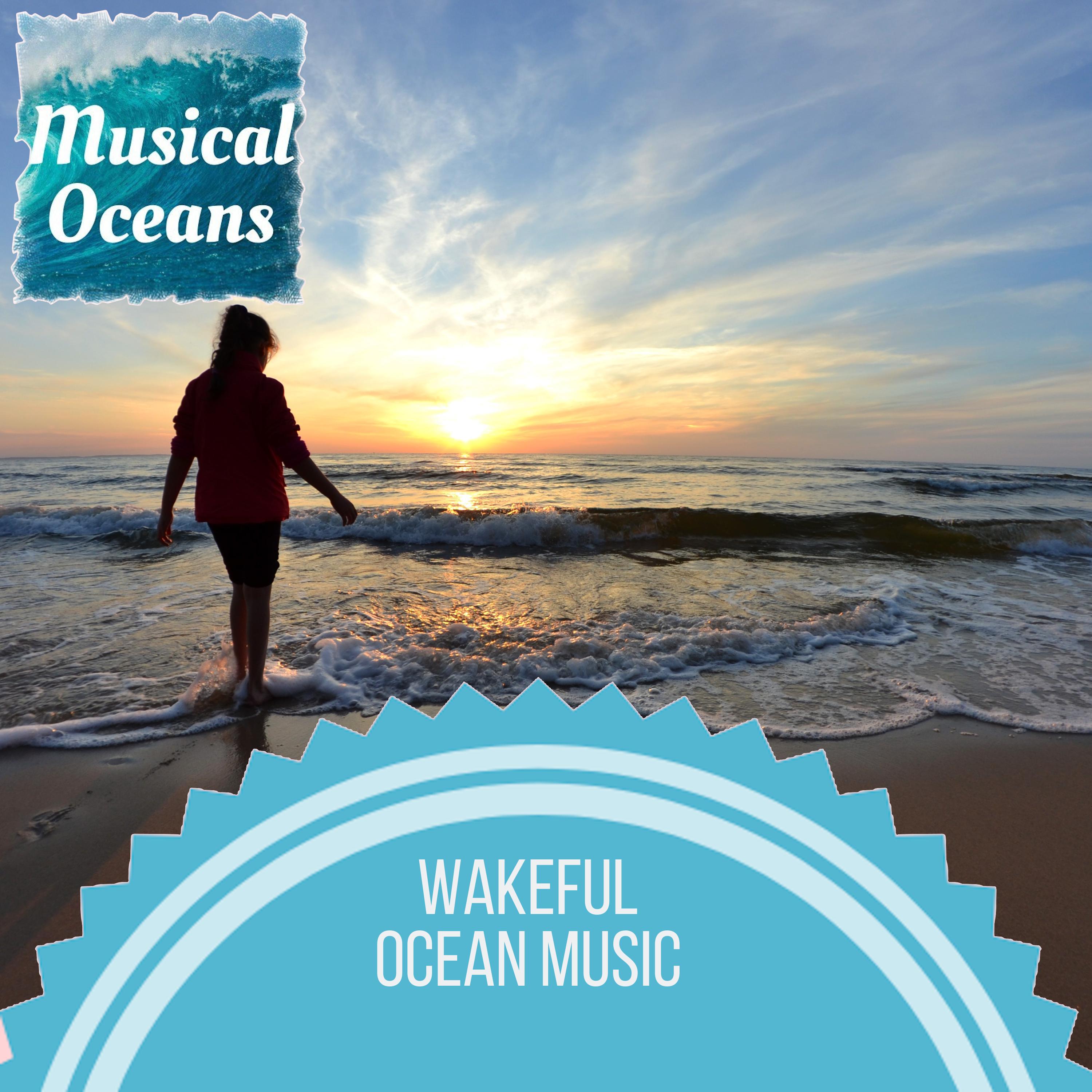 Round Waves Ocean Music - Bright White Birds Sound