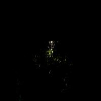 LOVELY DAY (Instrumental)