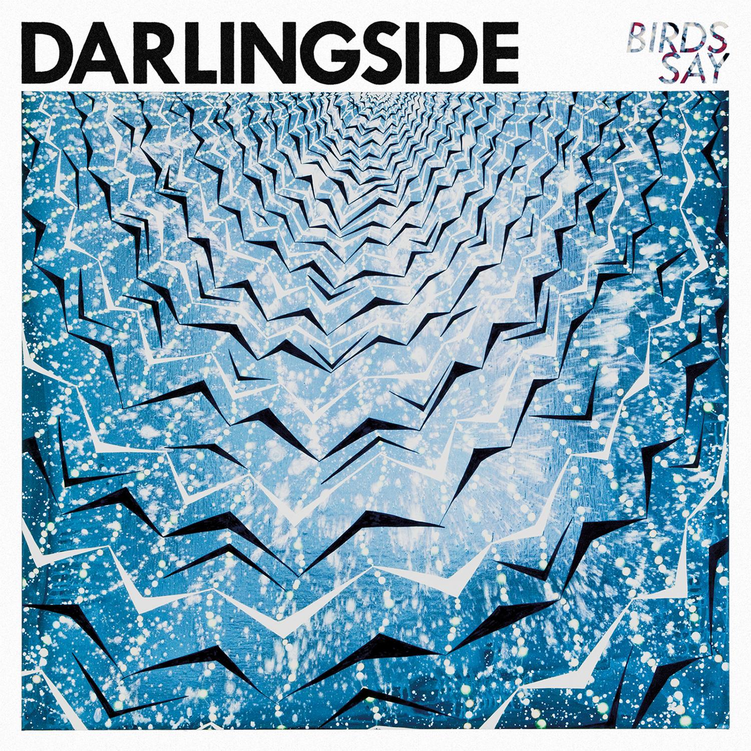 Birds Say (Deluxe)
