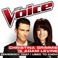 Somebody That I Used To Know (The Voice Performance)