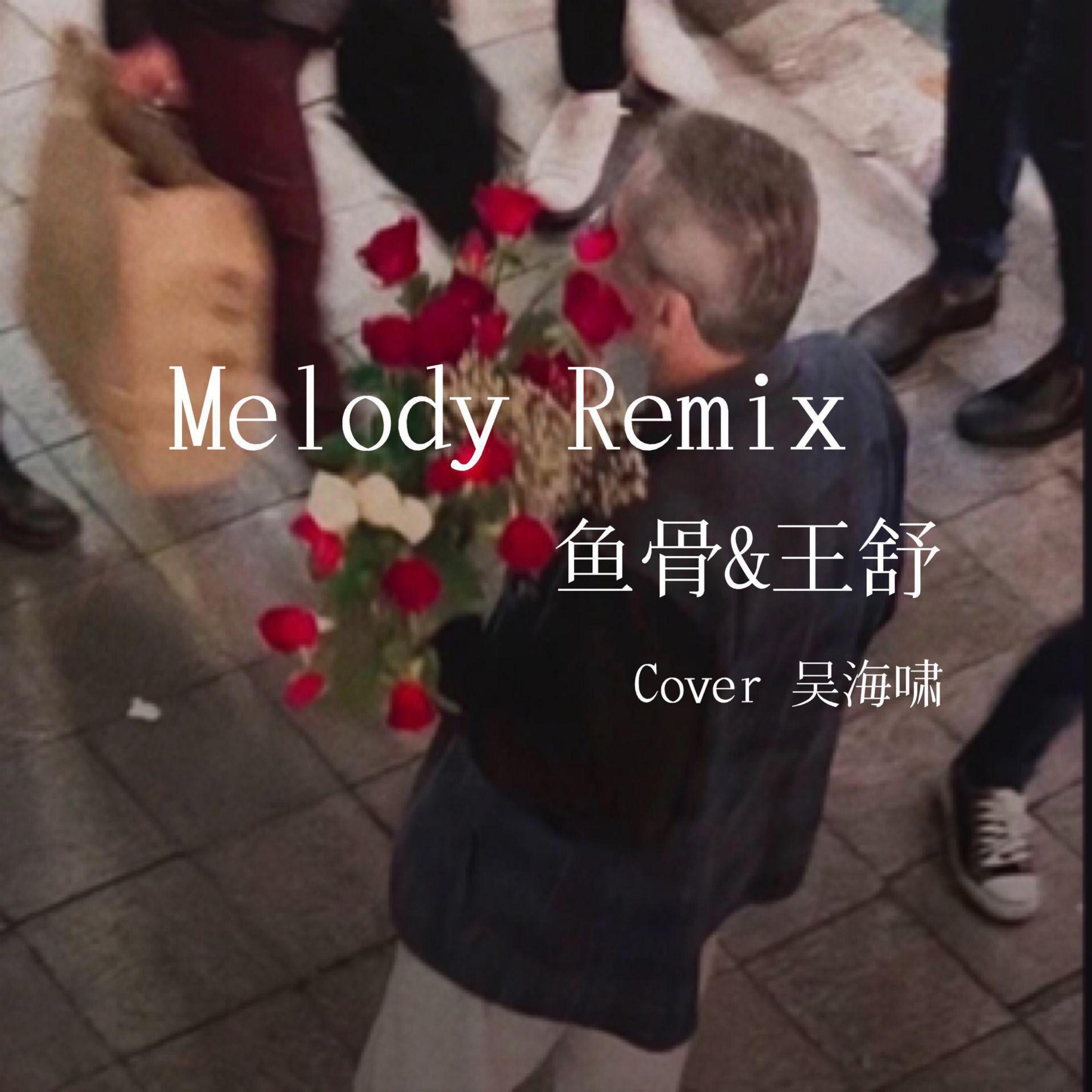 Melody Remix（翻自 吴海啸）