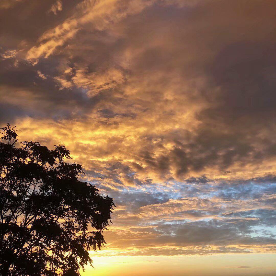 春夏秋冬失去了你(翻自 王宇良)