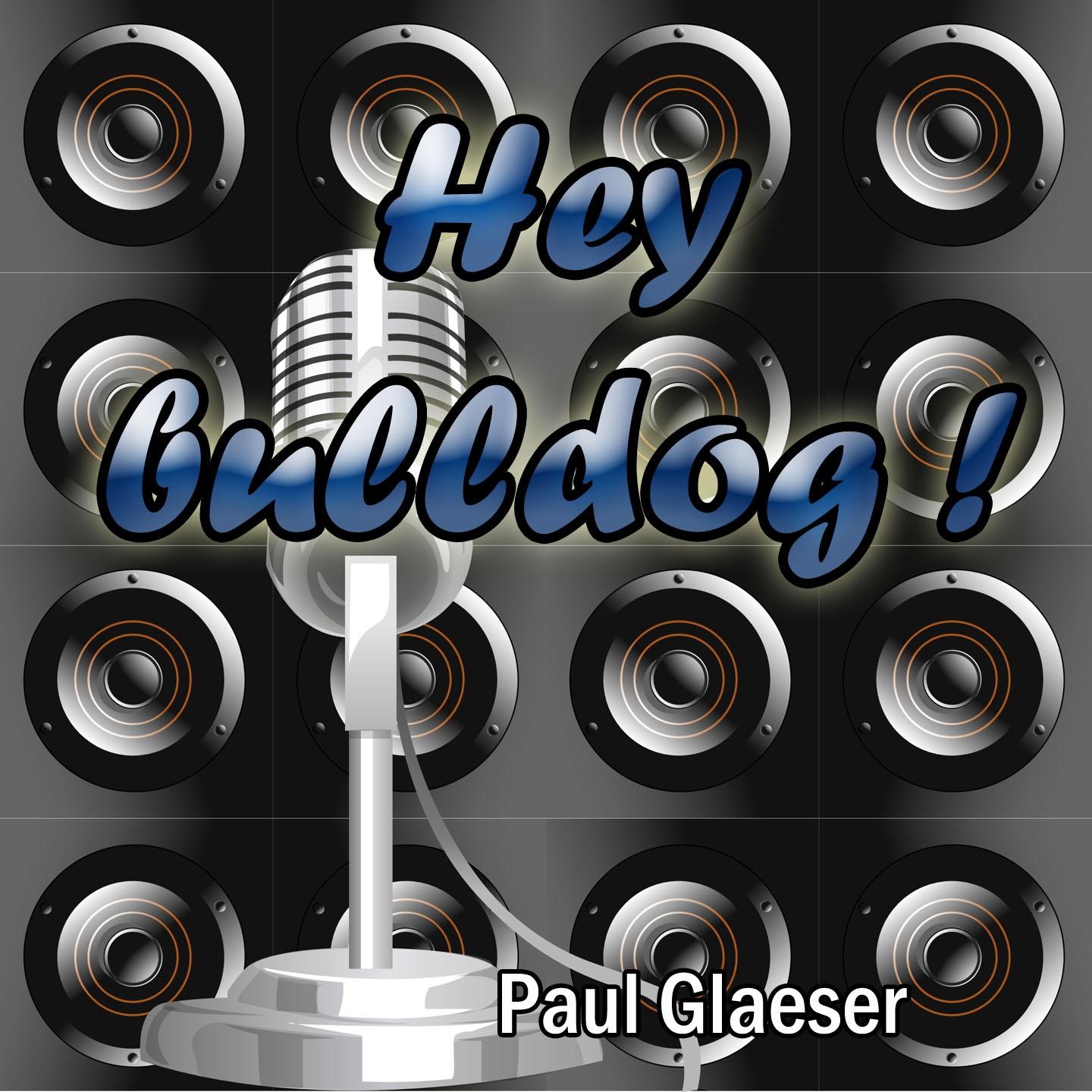 Hey Bulldog ! (Tribute to The Beatles)
