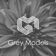 Grey Models