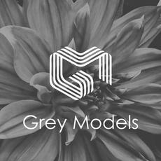 Grey Models