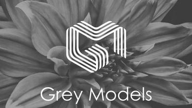 Grey Models