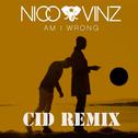 Am I Wrong (CID Remix) 专辑
