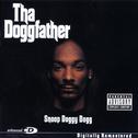 Tha Doggfather专辑