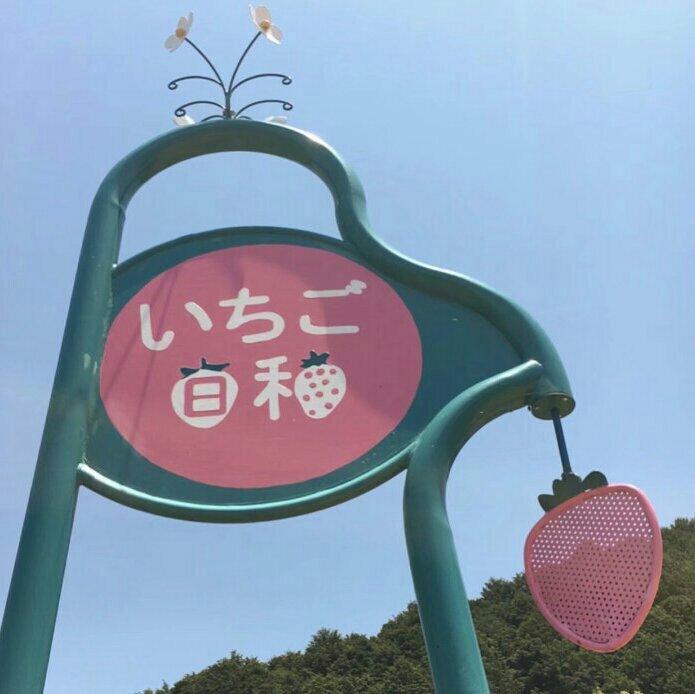 日语এ清晨里的温暖曲调和阳光