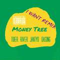 Money Tree(I Want Remix)