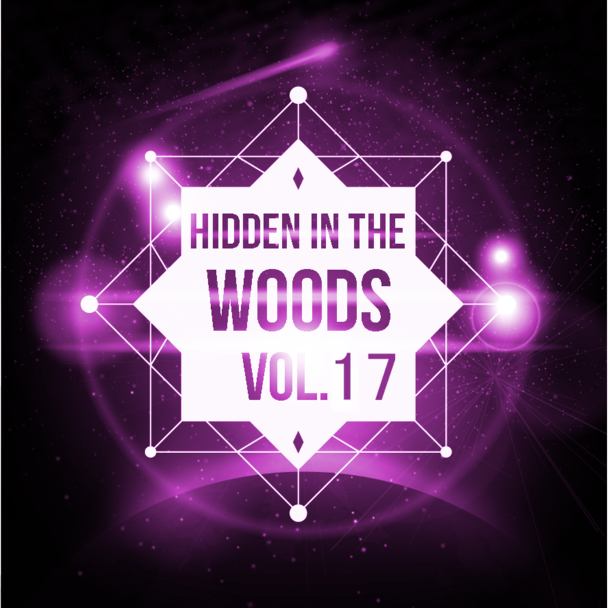 Hidden In The Woods Vol.17专辑