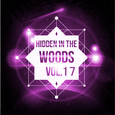 Hidden In The Woods Vol.17