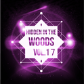 Hidden In The Woods Vol.17专辑