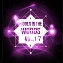 Hidden In The Woods Vol.17