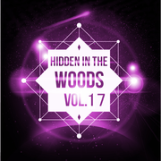 Hidden In The Woods Vol.17