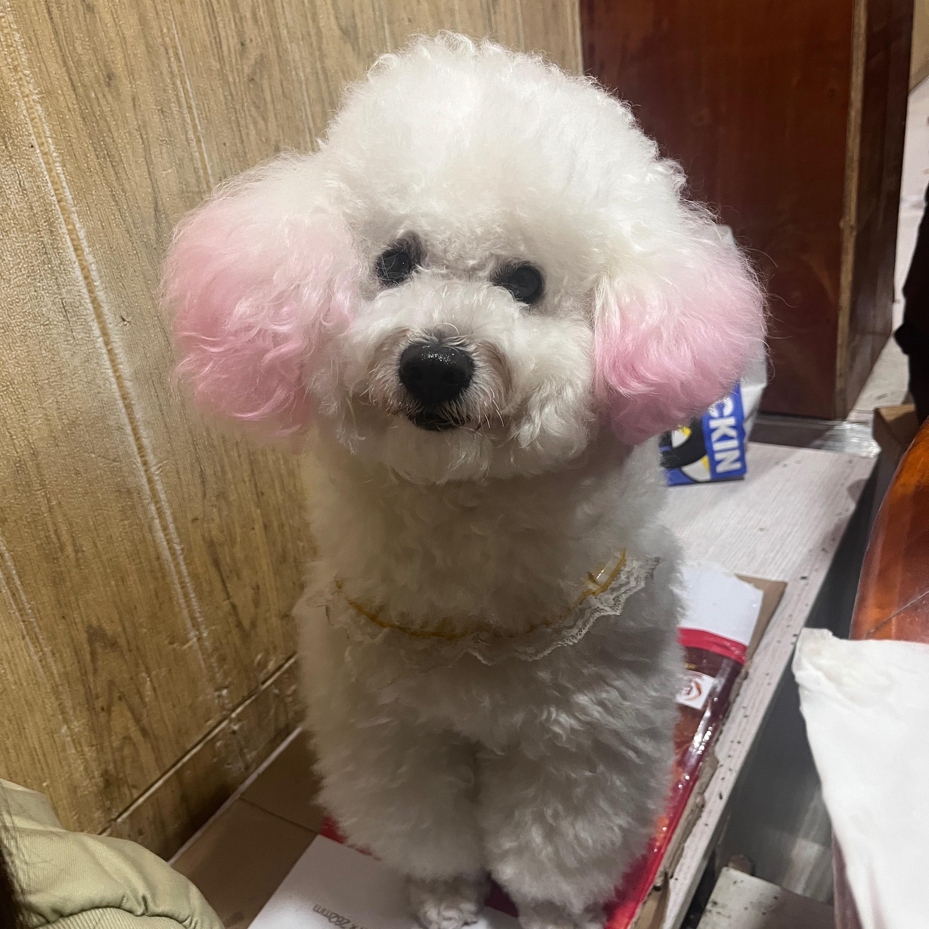 SAD（cover 姜云升）