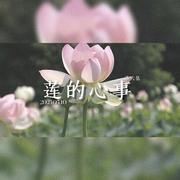 【洛天依翻唱曲】莲的心事