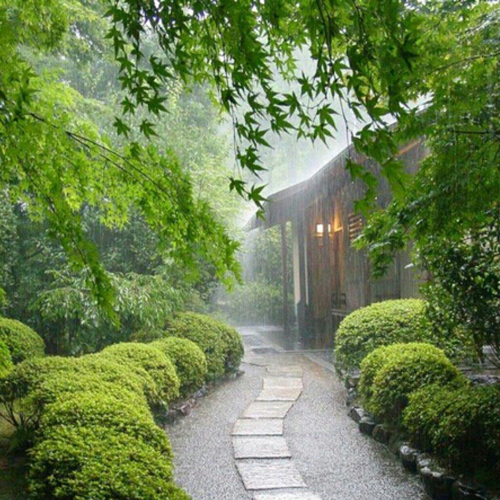 大自然醇音【听雨】