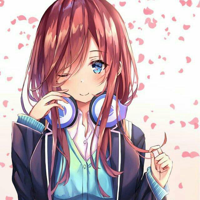 五等分的花嫁·全收录