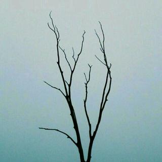 「彼尔维何？」
