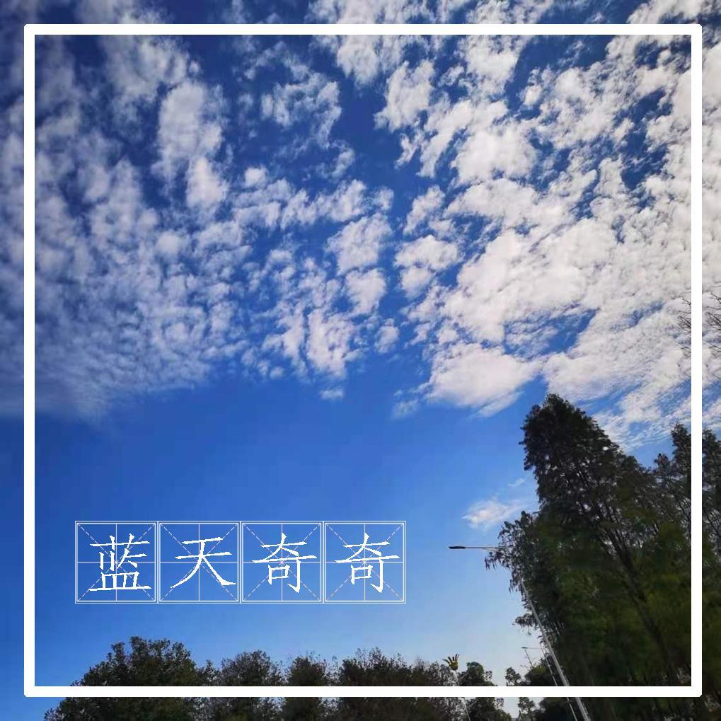 蓝天奇奇